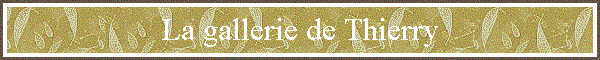 La gallerie de Thierry